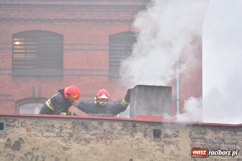 Zdjęcie w galerii na portalu naszraciborz.pl: Pożar na Końcu Świata. Strażacy oszacowali straty i podali przypuszczalną przyczynę pojawienia się ognia wiadomości z regionu