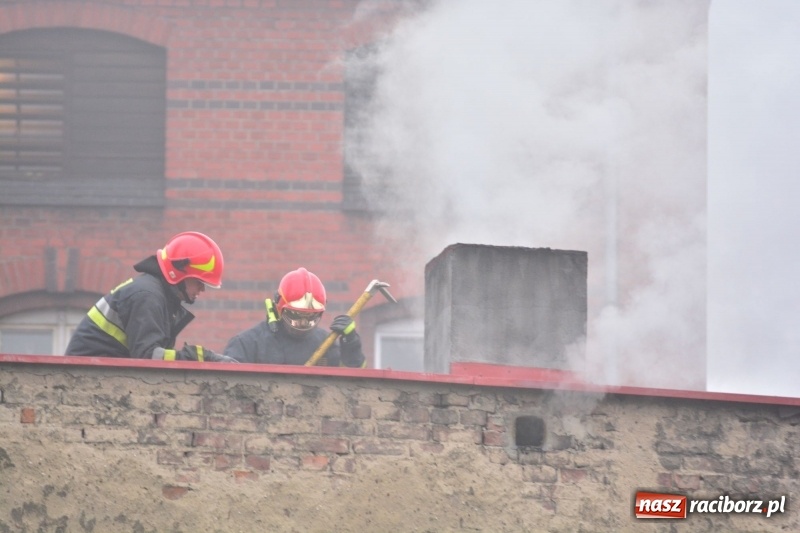 Zdjęcie w galerii na portalu naszraciborz.pl: Pożar na Końcu Świata. Strażacy oszacowali straty i podali przypuszczalną przyczynę pojawienia się ognia wiadomości z regionu