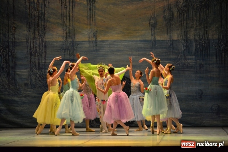 Zdjęcie w galerii na portalu naszraciborz.pl: Jezioro Łabędzie na scenie RCK. Sala wypełniona po brzegi wiadomości z regionu