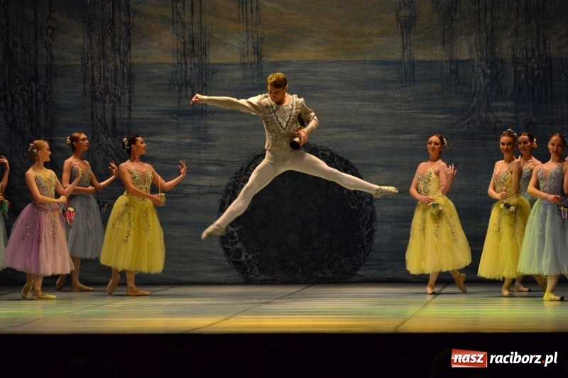 Zdjęcie w galerii na portalu naszraciborz.pl: Jezioro Łabędzie na scenie RCK. Sala wypełniona po brzegi wiadomości z regionu