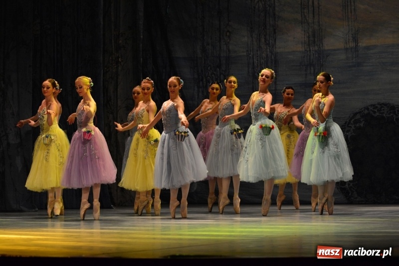 Zdjęcie w galerii na portalu naszraciborz.pl: Jezioro Łabędzie na scenie RCK. Sala wypełniona po brzegi wiadomości z regionu