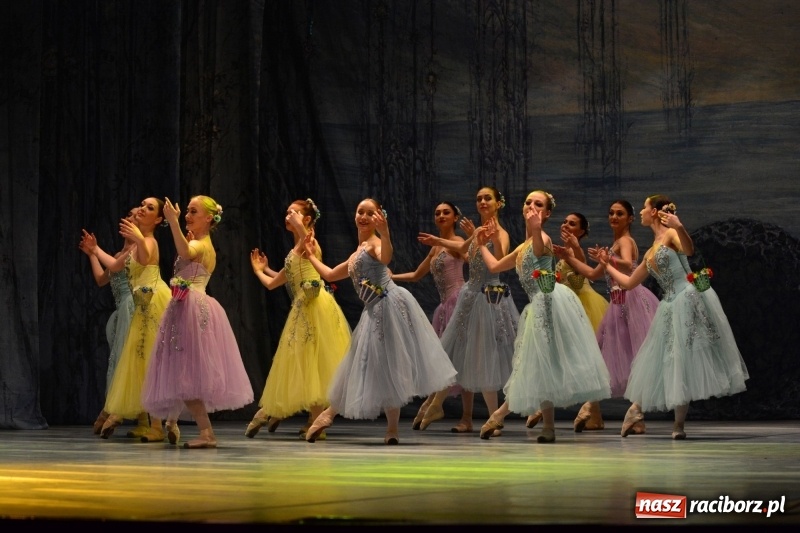 Zdjęcie w galerii na portalu naszraciborz.pl: Jezioro Łabędzie na scenie RCK. Sala wypełniona po brzegi wiadomości z regionu