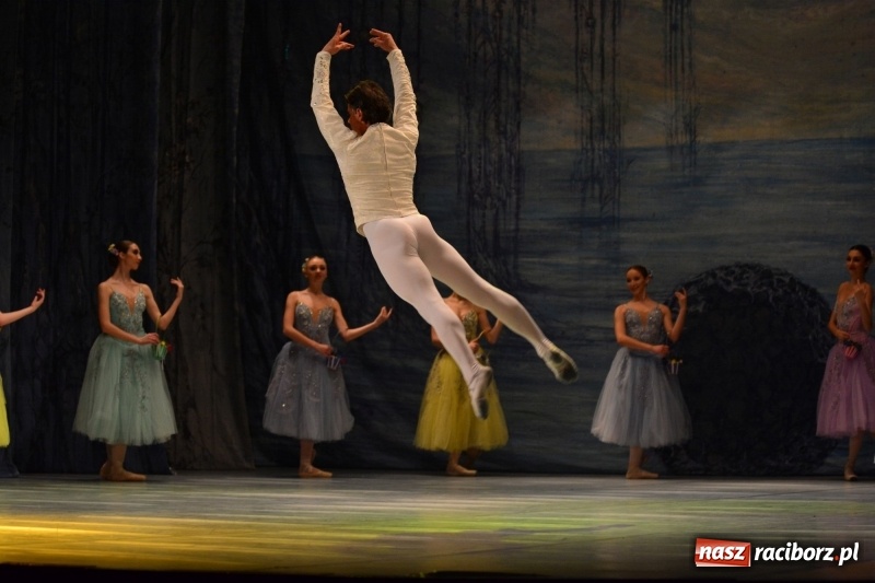 Zdjęcie w galerii na portalu naszraciborz.pl: Jezioro Łabędzie na scenie RCK. Sala wypełniona po brzegi wiadomości z regionu