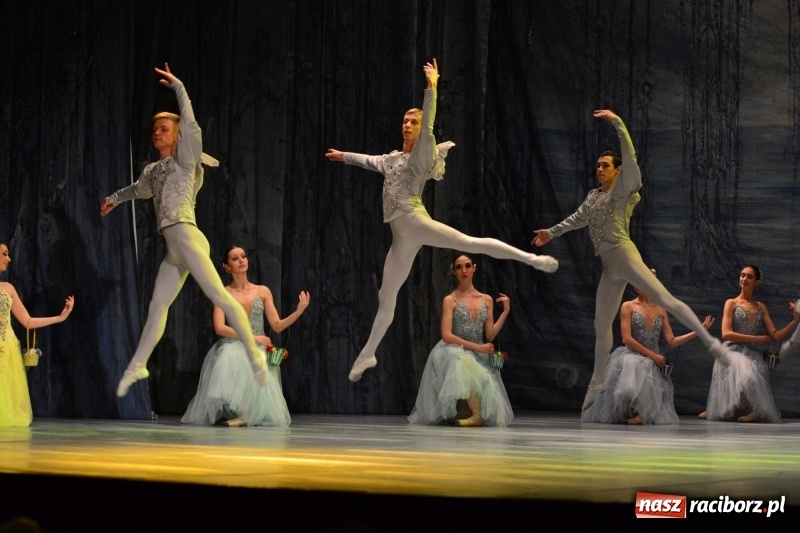 Zdjęcie w galerii na portalu naszraciborz.pl: Jezioro Łabędzie na scenie RCK. Sala wypełniona po brzegi wiadomości z regionu