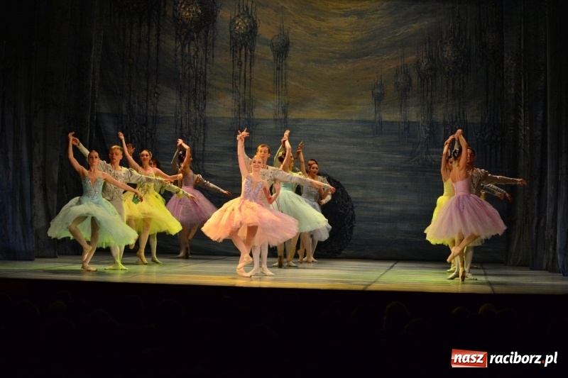 Zdjęcie w galerii na portalu naszraciborz.pl: Jezioro Łabędzie na scenie RCK. Sala wypełniona po brzegi wiadomości z regionu