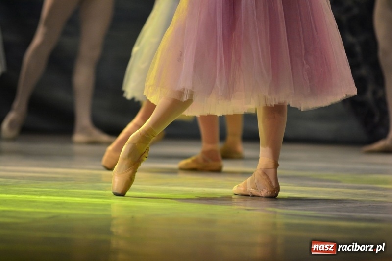 Zdjęcie w galerii na portalu naszraciborz.pl: Jezioro Łabędzie na scenie RCK. Sala wypełniona po brzegi wiadomości z regionu