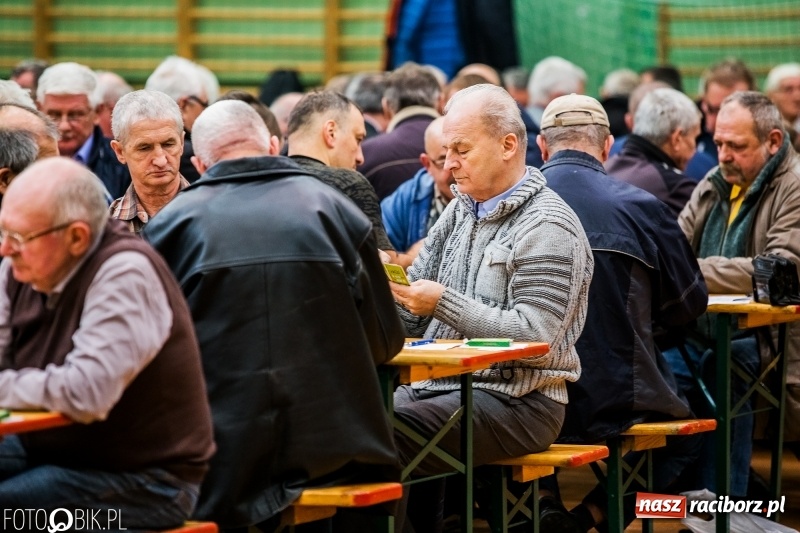 Zdjęcie w galerii na portalu naszraciborz.pl: Turniej Skata o Puchar Prezydenta Raciborza w Arenie Rafako wiadomości z regionu