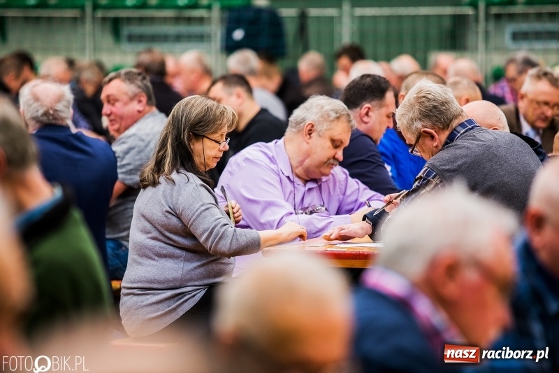 Zdjęcie w galerii na portalu naszraciborz.pl: Turniej Skata o Puchar Prezydenta Raciborza w Arenie Rafako wiadomości z regionu