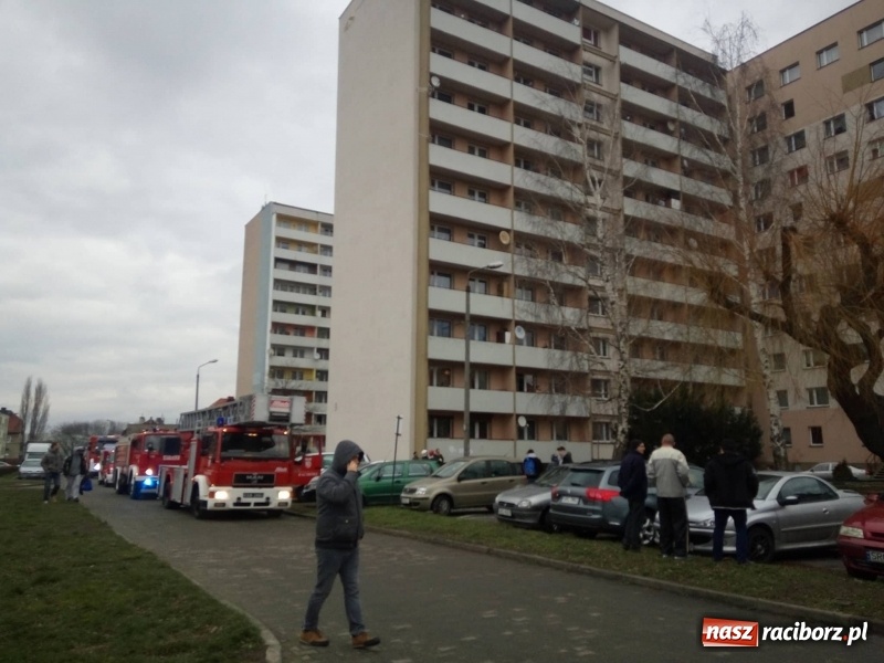 Zdjęcie w galerii na portalu naszraciborz.pl: Akcja strażaków na Mysłowickiej. Zadymienie w wieżowcu  wiadomości z regionu
