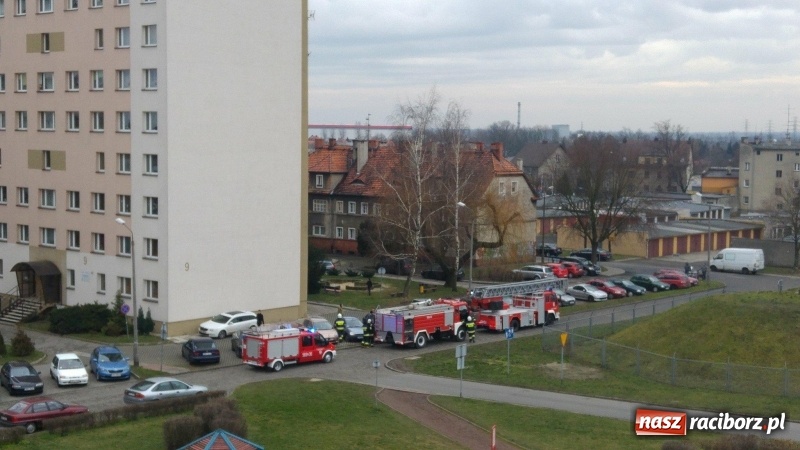 Zdjęcie w galerii na portalu naszraciborz.pl: Akcja strażaków na Mysłowickiej. Zadymienie w wieżowcu  wiadomości z regionu