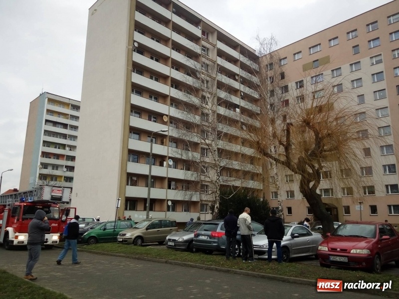 Zdjęcie w galerii na portalu naszraciborz.pl: Akcja strażaków na Mysłowickiej. Zadymienie w wieżowcu  wiadomości z regionu
