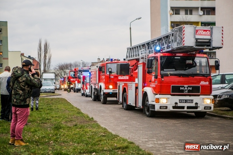 Zdjęcie w galerii na portalu naszraciborz.pl: Akcja strażaków na Mysłowickiej. Zadymienie w wieżowcu  wiadomości z regionu