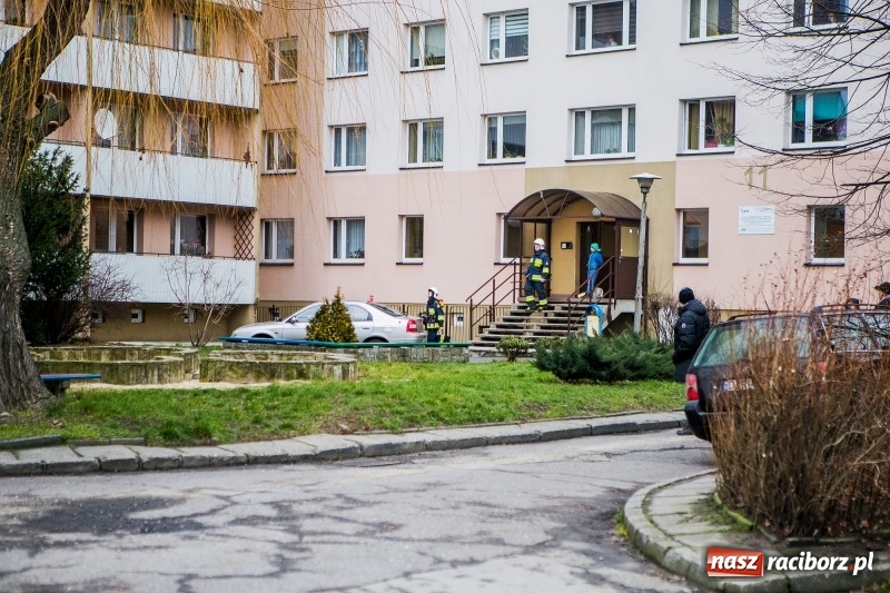 Zdjęcie w galerii na portalu naszraciborz.pl: Akcja strażaków na Mysłowickiej. Zadymienie w wieżowcu  wiadomości z regionu