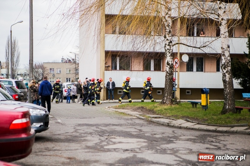 Zdjęcie w galerii na portalu naszraciborz.pl: Akcja strażaków na Mysłowickiej. Zadymienie w wieżowcu  wiadomości z regionu