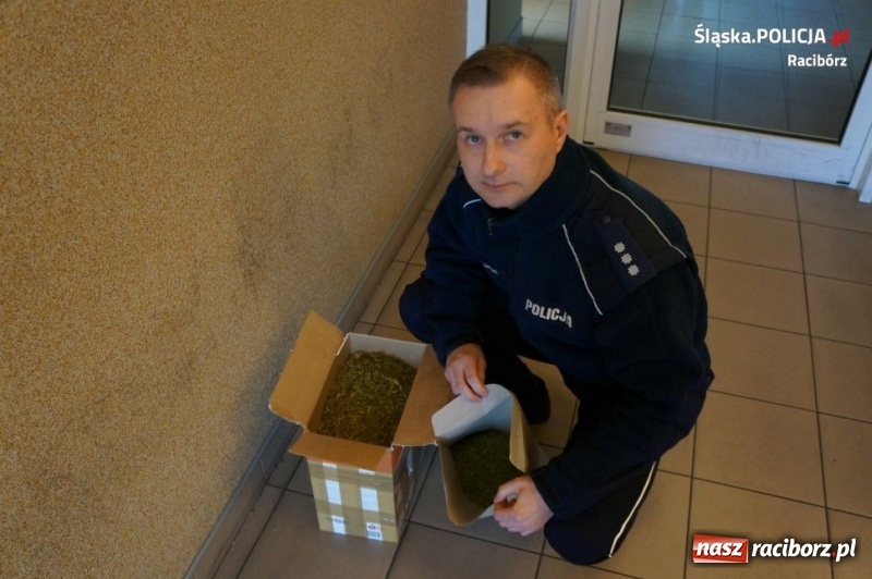 Zdjęcie w galerii na portalu naszraciborz.pl: Wpadli z narkotykami. Jeden trafił do aresztu, drugi pod dozór policji wiadomości z regionu