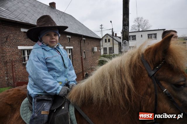 Zdjęcie w galerii na portalu naszraciborz.pl: Sudół przegrał z Putinem wiadomości z regionu