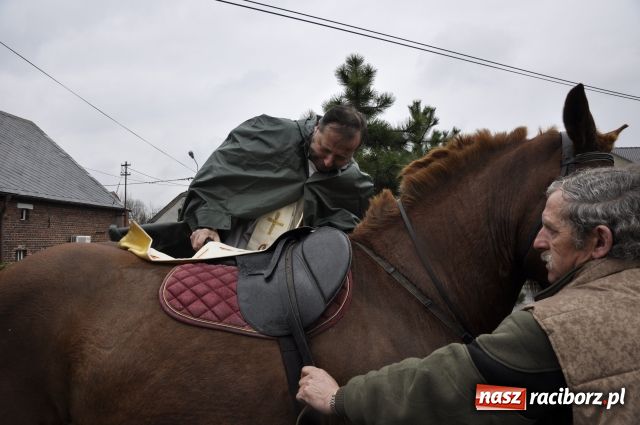 Zdjęcie w galerii na portalu naszraciborz.pl: Sudół przegrał z Putinem wiadomości z regionu