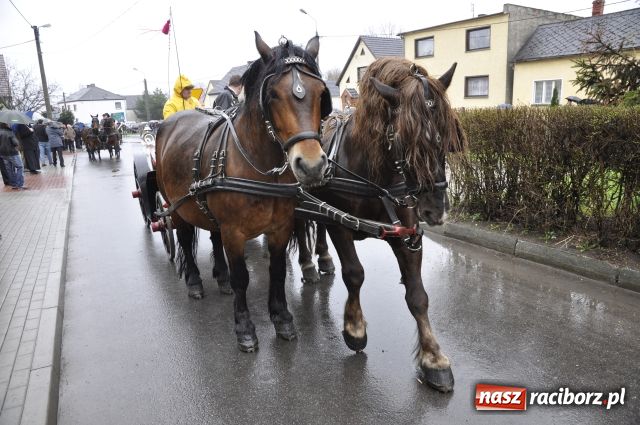 Zdjęcie w galerii na portalu naszraciborz.pl: Sudół przegrał z Putinem wiadomości z regionu