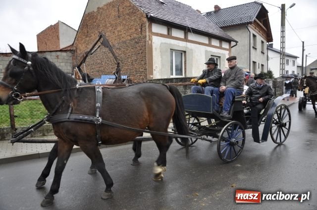 Zdjęcie w galerii na portalu naszraciborz.pl: Sudół przegrał z Putinem wiadomości z regionu