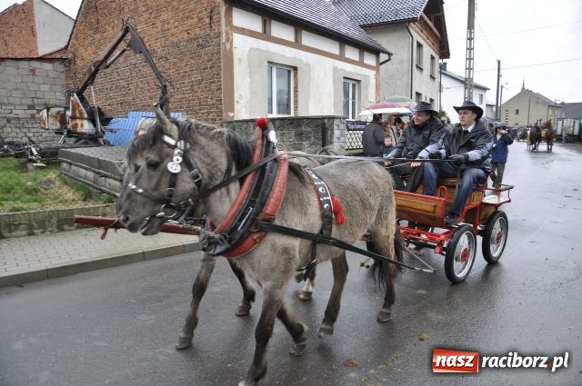 Zdjęcie w galerii na portalu naszraciborz.pl: Sudół przegrał z Putinem wiadomości z regionu