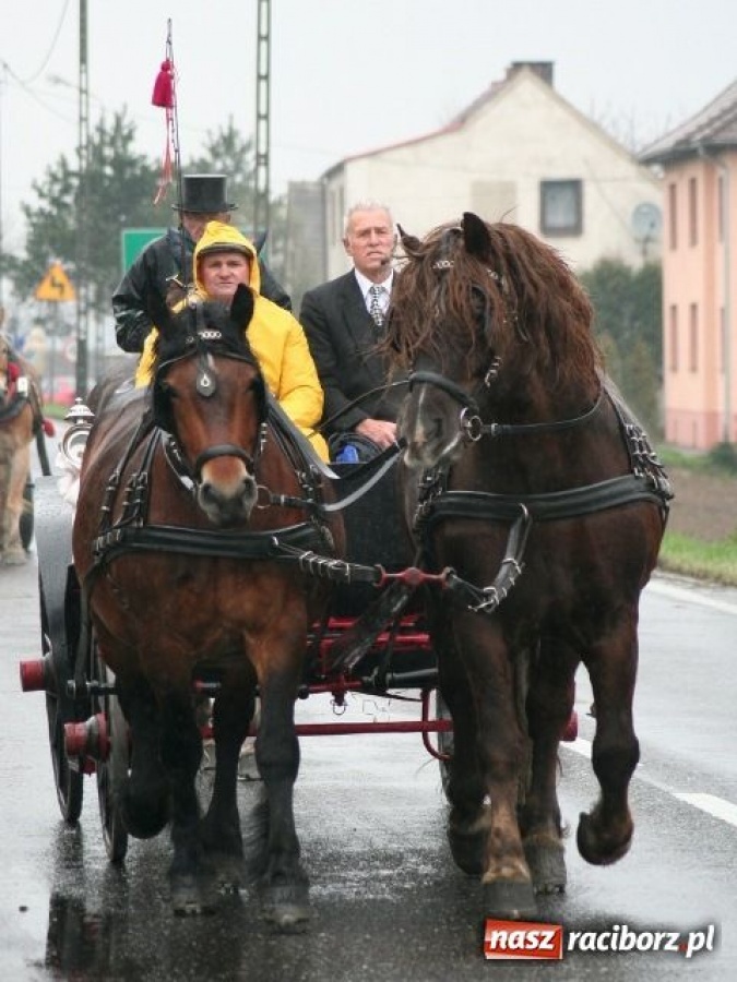 Zdjęcie w galerii na portalu naszraciborz.pl: Sudół przegrał z Putinem wiadomości z regionu