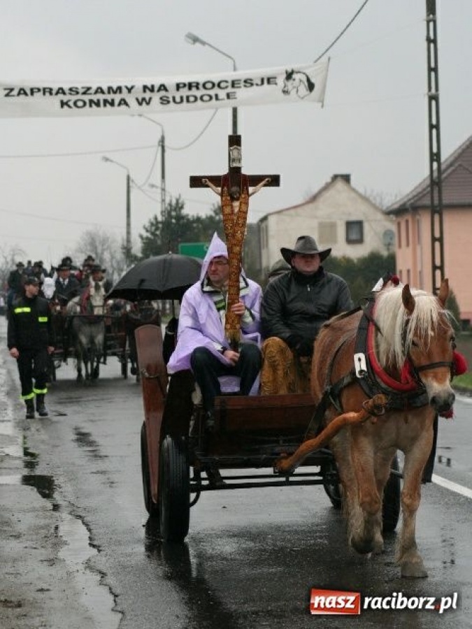 Zdjęcie w galerii na portalu naszraciborz.pl: Sudół przegrał z Putinem wiadomości z regionu