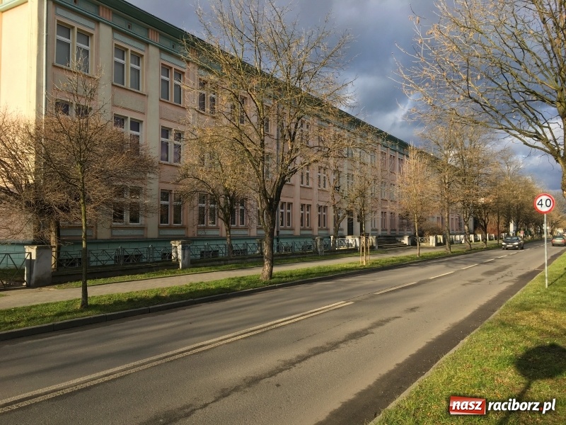 Zdjęcie w galerii na portalu naszraciborz.pl: Upływ czasu i zaniedbanie? Aleja leszczyny tureckiej na Słowackiego utraciła dawny blask wiadomości z regionu