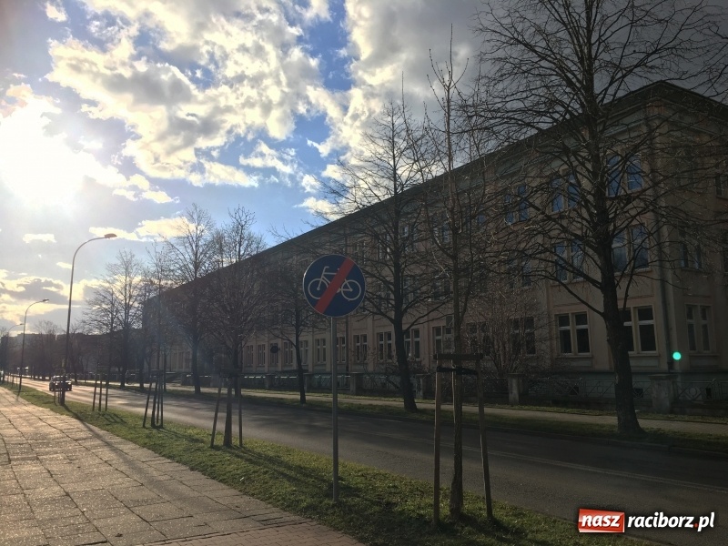 Zdjęcie w galerii na portalu naszraciborz.pl: Upływ czasu i zaniedbanie? Aleja leszczyny tureckiej na Słowackiego utraciła dawny blask wiadomości z regionu