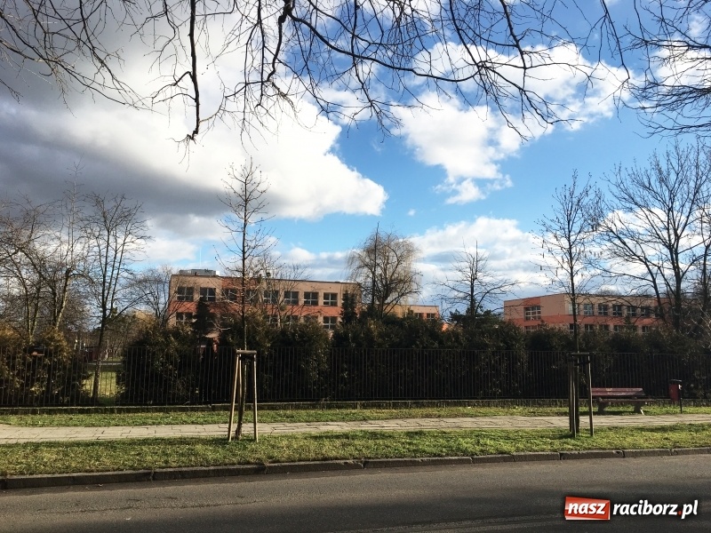 Zdjęcie w galerii na portalu naszraciborz.pl: Upływ czasu i zaniedbanie? Aleja leszczyny tureckiej na Słowackiego utraciła dawny blask wiadomości z regionu