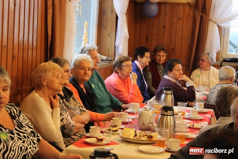 Zdjęcie w galerii na portalu naszraciborz.pl: XIII Dzień Seniora w Wojnowicach wiadomości z regionu