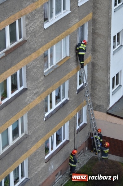 Zdjęcie w galerii na portalu naszraciborz.pl: Akcja straży i policji na Katowickiej. 80-latka przez kilka dni nie dawała oznak życia wiadomości z regionu