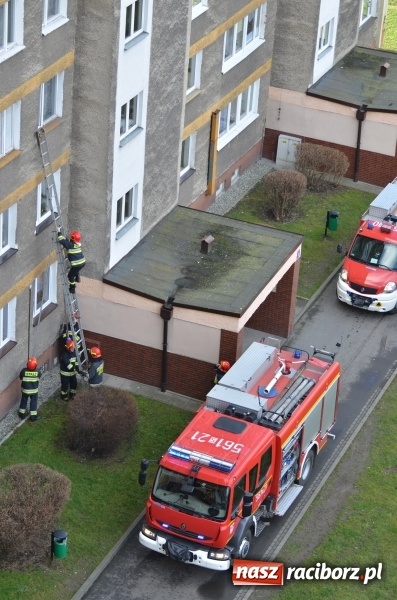 Zdjęcie w galerii na portalu naszraciborz.pl: Akcja straży i policji na Katowickiej. 80-latka przez kilka dni nie dawała oznak życia wiadomości z regionu