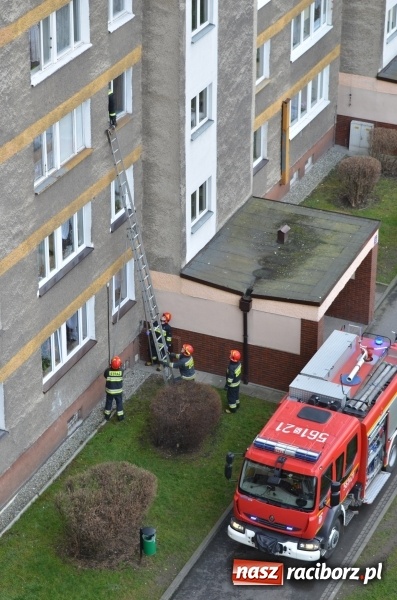 Zdjęcie w galerii na portalu naszraciborz.pl: Akcja straży i policji na Katowickiej. 80-latka przez kilka dni nie dawała oznak życia wiadomości z regionu
