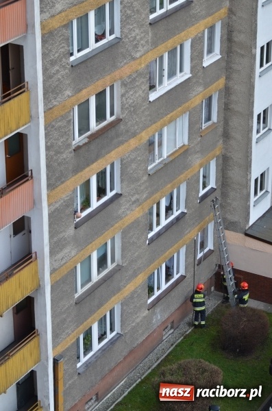 Zdjęcie w galerii na portalu naszraciborz.pl: Akcja straży i policji na Katowickiej. 80-latka przez kilka dni nie dawała oznak życia wiadomości z regionu