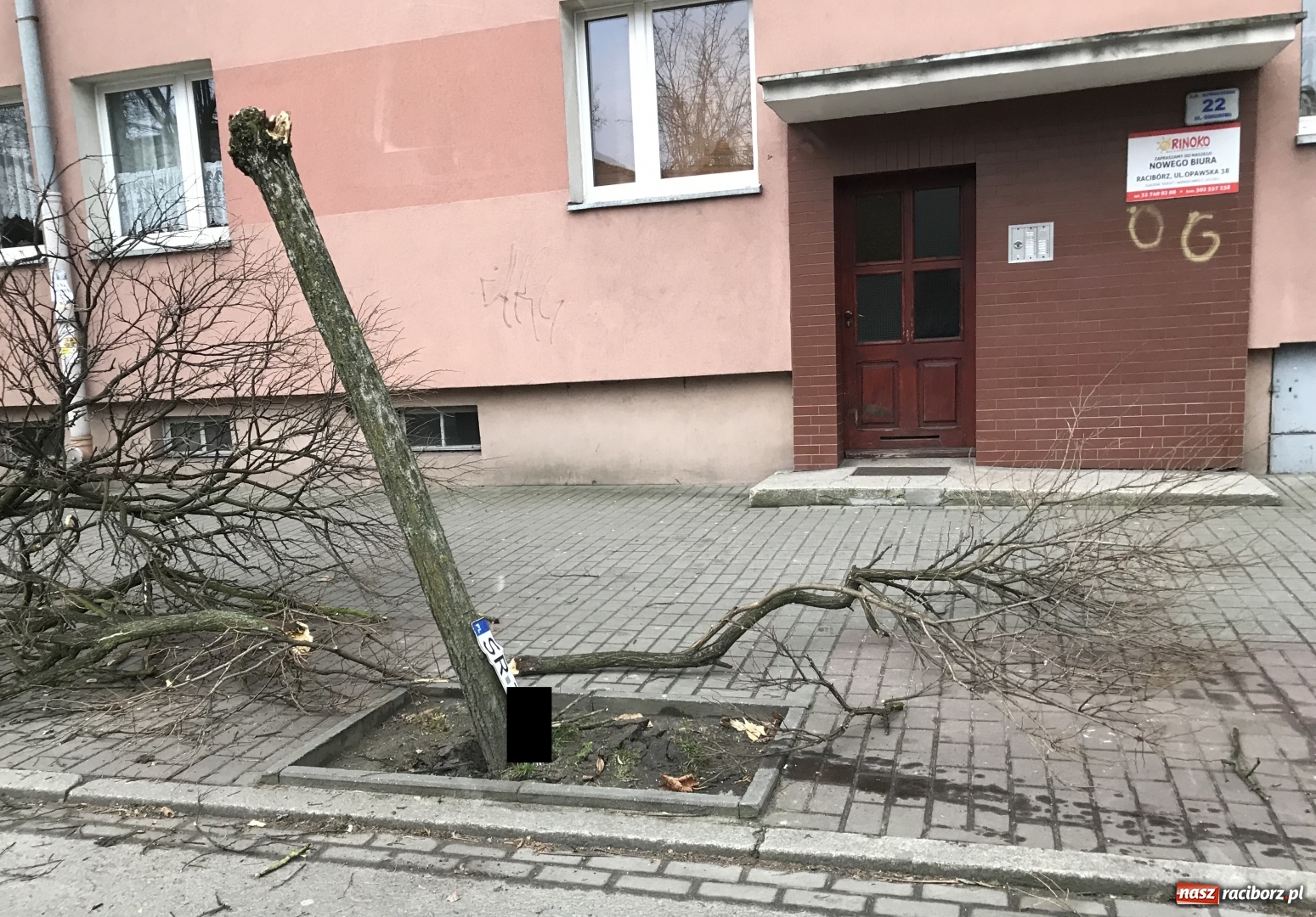 Zdjęcie w galerii na portalu naszraciborz.pl: Pijana raciborzanka zatrzymana na Staszica. Kobieta doprowadziła do trzech kolizji FOTO wiadomości z regionu