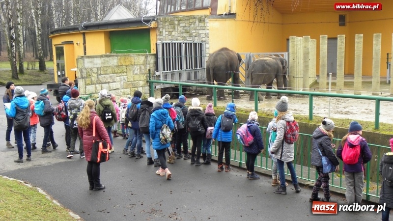 Zdjęcie w galerii na portalu naszraciborz.pl: Z wizytą w śląskim zoo – ferie z biblioteką wiadomości z regionu