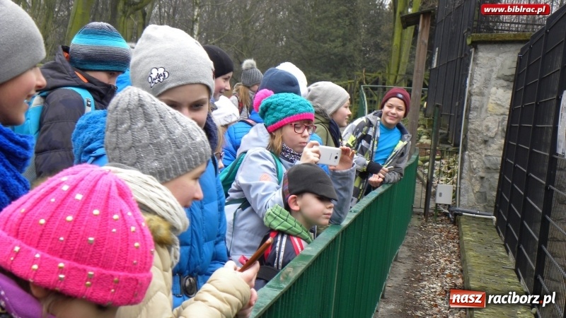 Zdjęcie w galerii na portalu naszraciborz.pl: Z wizytą w śląskim zoo – ferie z biblioteką wiadomości z regionu