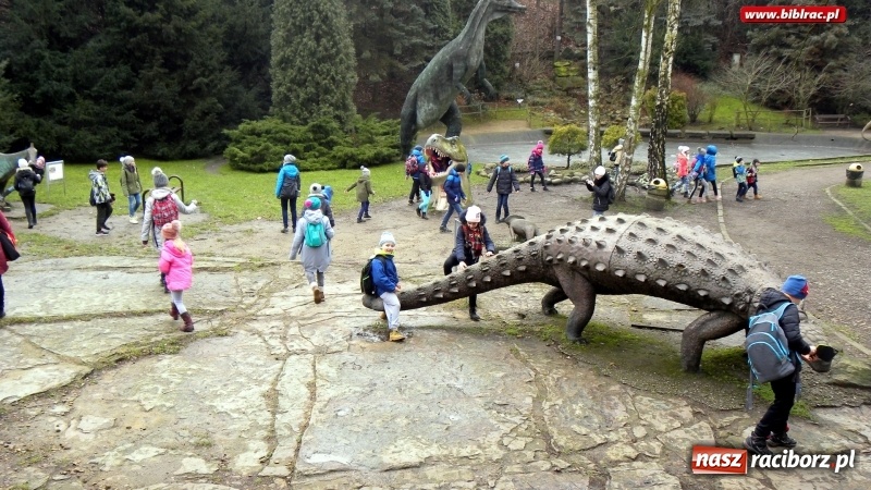 Zdjęcie w galerii na portalu naszraciborz.pl: Z wizytą w śląskim zoo – ferie z biblioteką wiadomości z regionu