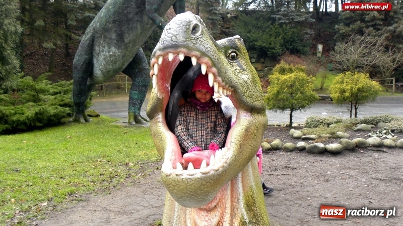 Zdjęcie w galerii na portalu naszraciborz.pl: Z wizytą w śląskim zoo – ferie z biblioteką wiadomości z regionu