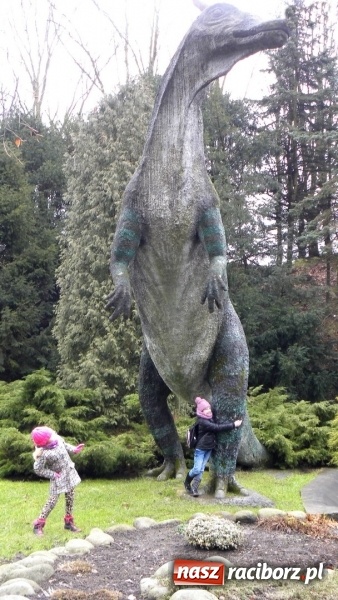 Zdjęcie w galerii na portalu naszraciborz.pl: Z wizytą w śląskim zoo – ferie z biblioteką wiadomości z regionu