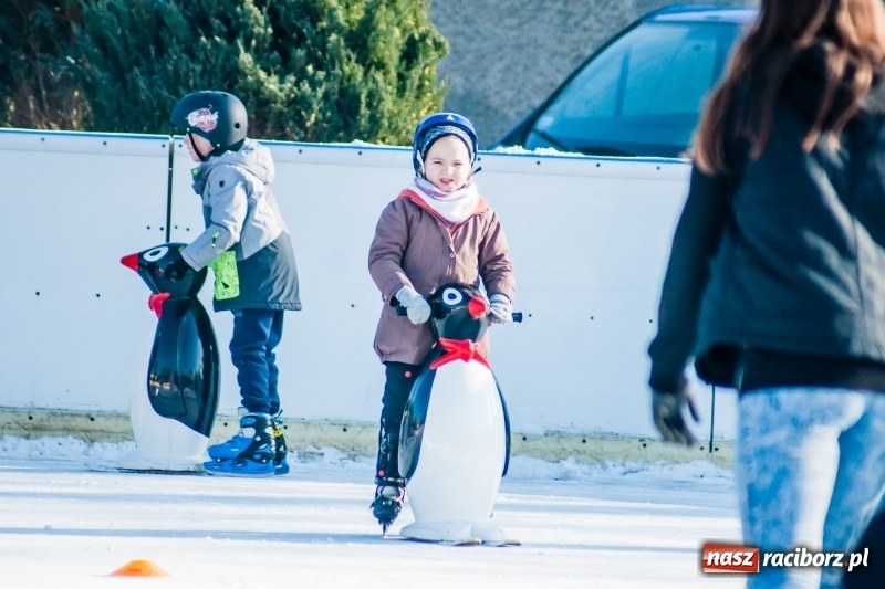 Zdjęcie w galerii na portalu naszraciborz.pl: Zawody łyżwiarskie na lodowisku Piastor wiadomości z regionu