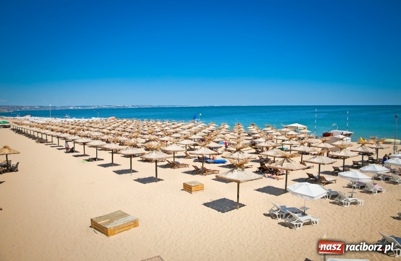 Zdjęcie w galerii na portalu naszraciborz.pl: Bułgaria, Albania czy Chorwacja? Biuro Orinoko otwiera się na nowe kierunki wiadomości z regionu