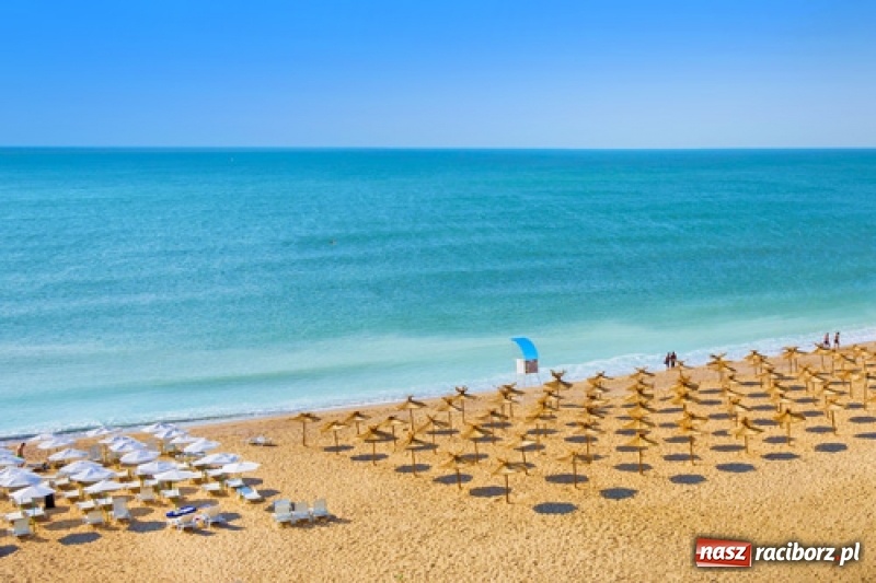 Zdjęcie w galerii na portalu naszraciborz.pl: Bułgaria, Albania czy Chorwacja? Biuro Orinoko otwiera się na nowe kierunki wiadomości z regionu