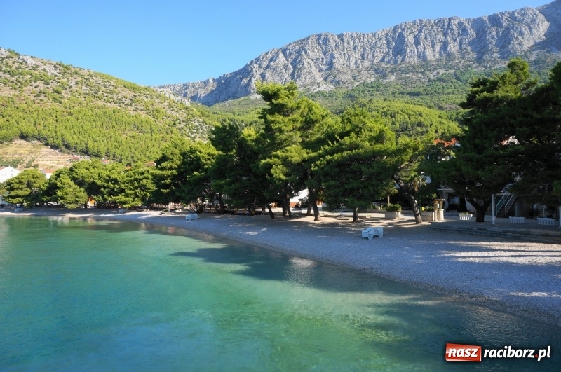 Zdjęcie w galerii na portalu naszraciborz.pl: Bułgaria, Albania czy Chorwacja? Biuro Orinoko otwiera się na nowe kierunki wiadomości z regionu