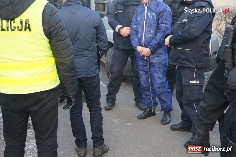 Zdjęcie w galerii na portalu naszraciborz.pl: Policjanci zatrzymali podejrzanego o zabójstwo nastolatki  wiadomości z regionu