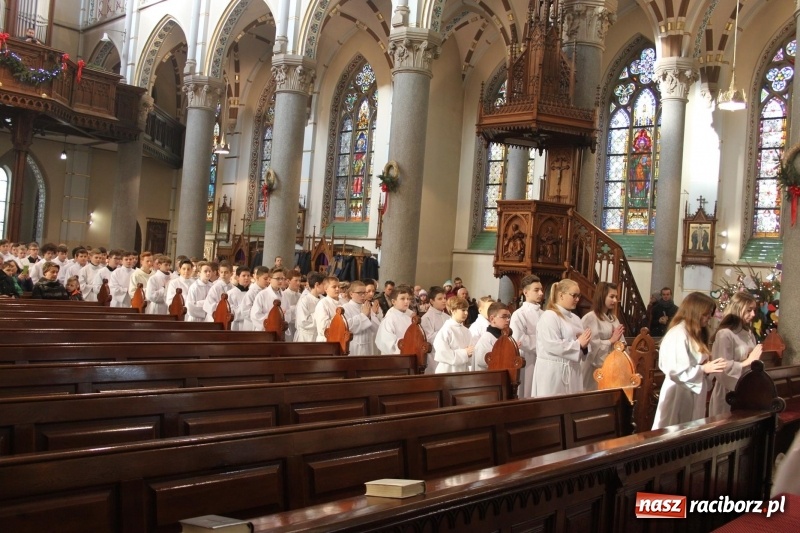 Zdjęcie w galerii na portalu naszraciborz.pl: Ministranci z powiatu raciborskiego przyjęli funkcję lektora  wiadomości z regionu