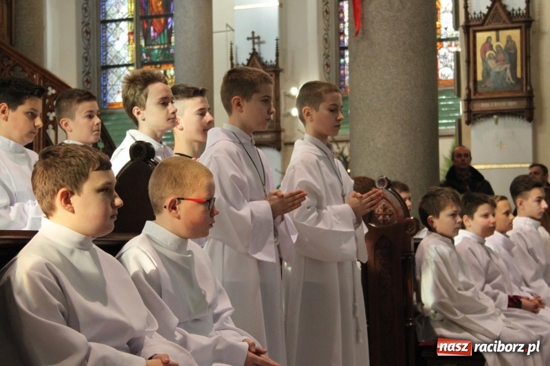 Zdjęcie w galerii na portalu naszraciborz.pl: Ministranci z powiatu raciborskiego przyjęli funkcję lektora  wiadomości z regionu