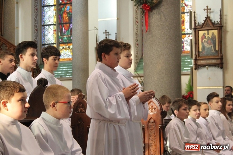 Zdjęcie w galerii na portalu naszraciborz.pl: Ministranci z powiatu raciborskiego przyjęli funkcję lektora  wiadomości z regionu