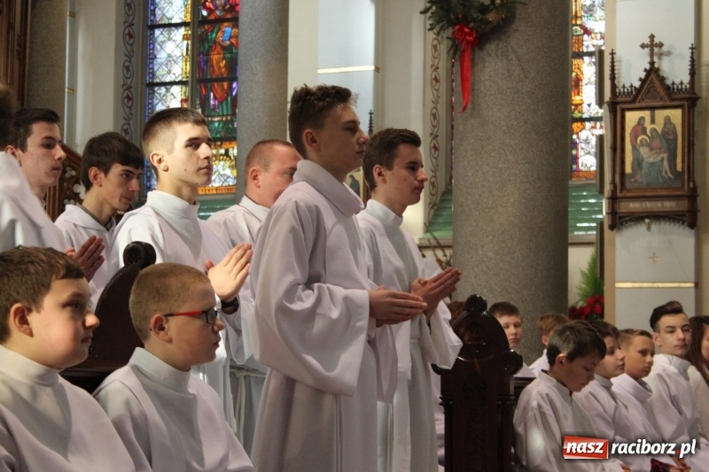 Zdjęcie w galerii na portalu naszraciborz.pl: Ministranci z powiatu raciborskiego przyjęli funkcję lektora  wiadomości z regionu