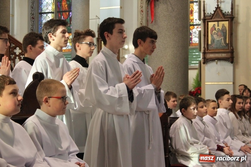 Zdjęcie w galerii na portalu naszraciborz.pl: Ministranci z powiatu raciborskiego przyjęli funkcję lektora  wiadomości z regionu